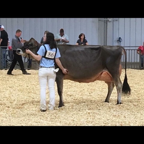 Meet your Posher, Erin - Picture 1 of 1